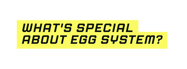 What s special about EGG SYSTEM